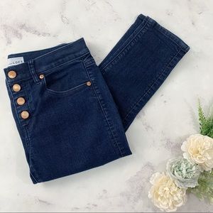 LOFT Ann Taylor Button Front Dark Indigo Mid Rise Skinny Jeans - Blue